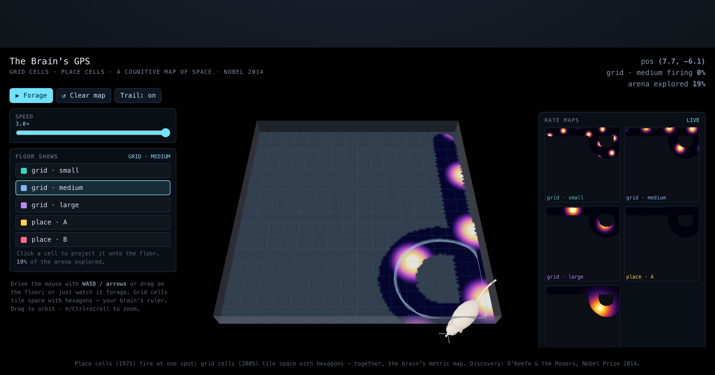 The Brain’s GPS — Grid & Place Cells — interactive 3D exhibit